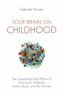 Your Brain on Childhood: The Unexpected Side Effects of Classrooms, Ballparks, Family Rooms, and the Minivan
