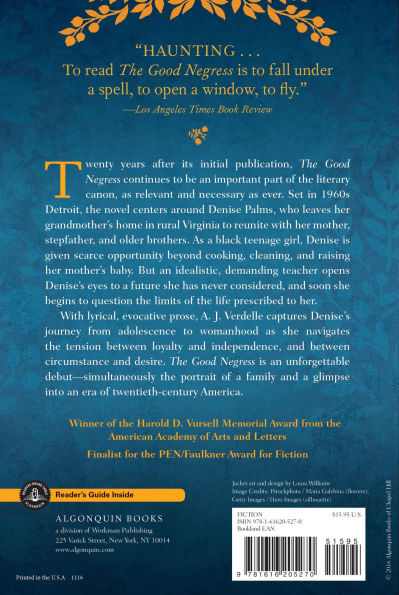 The Good Negress: A Novel