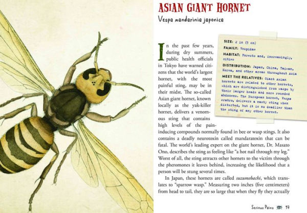 Wicked Bugs (Young Readers Edition): The Meanest, Deadliest, Grossest Bugs on Earth