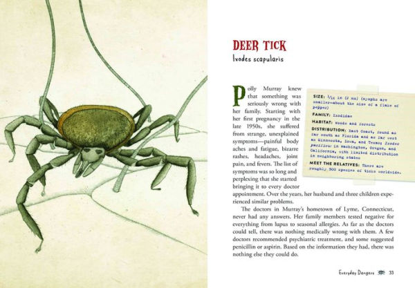 Wicked Bugs (Young Readers Edition): The Meanest, Deadliest, Grossest Bugs on Earth