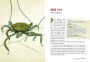 Alternative view 4 of Wicked Bugs (Young Readers Edition): The Meanest, Deadliest, Grossest Bugs on Earth