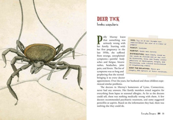Wicked Bugs (Young Readers Edition): The Meanest, Deadliest, Grossest Bugs on Earth
