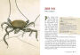 Alternative view 10 of Wicked Bugs (Young Readers Edition): The Meanest, Deadliest, Grossest Bugs on Earth