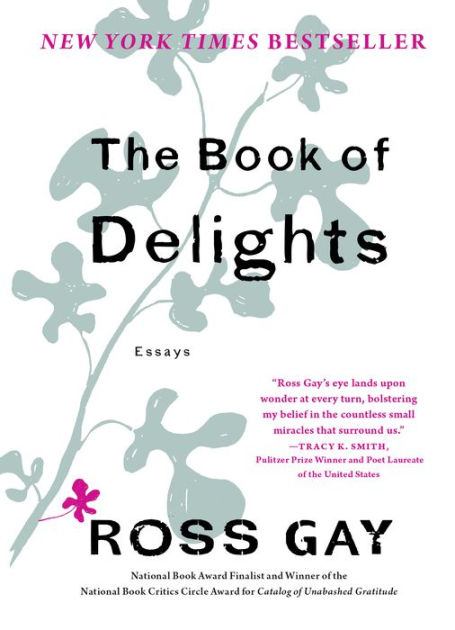 the book of delights hardcover book essays