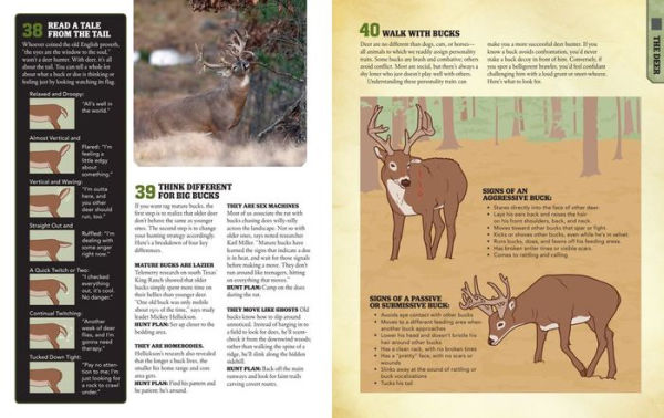 The Total Deer Hunter Manual (Field & Stream): 301 Hunting Skills You Need