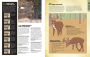 Alternative view 3 of The Total Deer Hunter Manual (Field & Stream): 301 Hunting Skills You Need