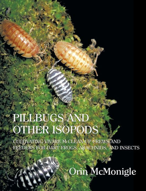 70 Wild Isopods Pill Bug Rolly Poly Live Feeder/Tank Cleaner Clean Up Crew 