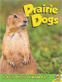 Prairie Dogs