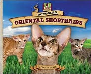 Title: Outgoing Oriental Shorthairs, Author: Katherine Hengel