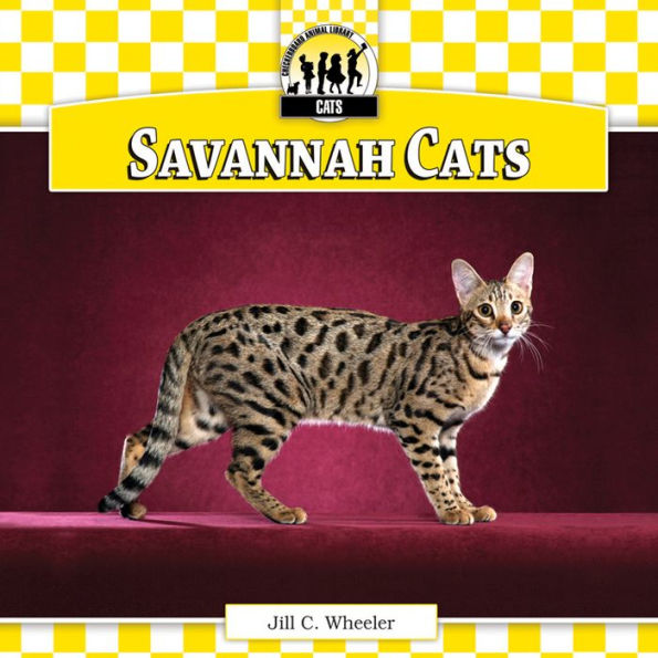 Savannah Cats eBook