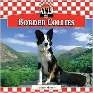 Border Collies
