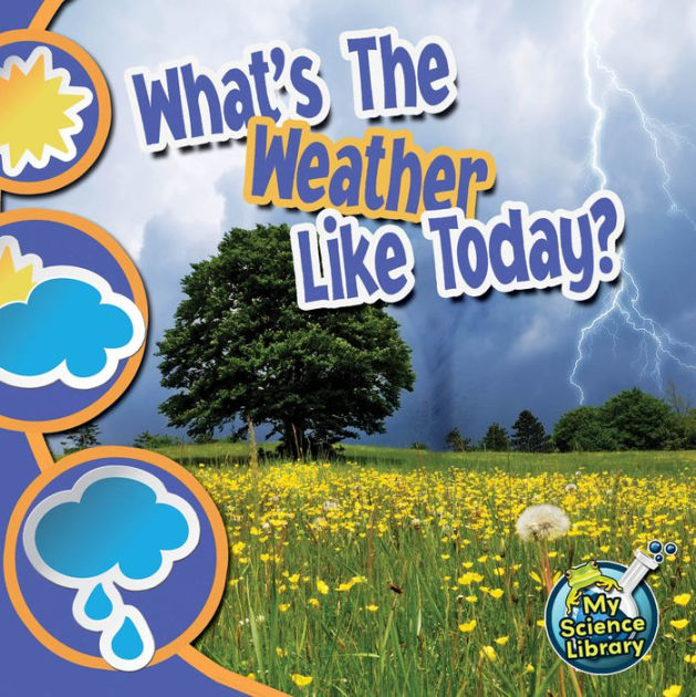 What's The Weather Like Today? by Conrad J. Storad, Paperback | Barnes