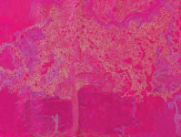 Alternative view 7 of Color, Thread & Free-Motion Quilting: Learn to Stitch with Reckless Abandon