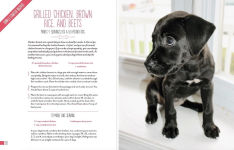 Alternative view 3 of Home Cooking for Your Dog: 75 Holistic Recipes for a Healthier Dog