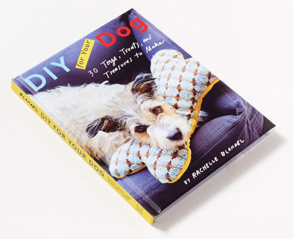 DIY for Your Dog: 30 Toys, Treats, and Treasures to Make