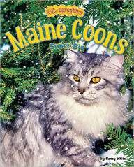 Title: Maine Coons: Super Big, Author: Nancy White