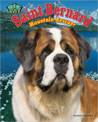 Saint Bernard: Mountain Retriever