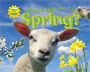 How Do You Know It's Spring?