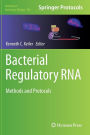 Bacterial Regulatory RNA: Methods and Protocols