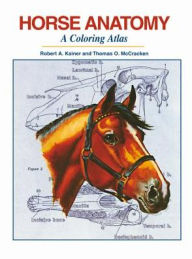 Title: Horse Anatomy: A Coloring Atlas, Author: Robert A Kainer