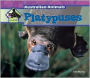 Platypuses