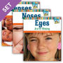 All About Your Senses