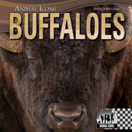Buffaloes
