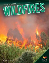 Title: Wildfires, Author: Rebecca Rowell