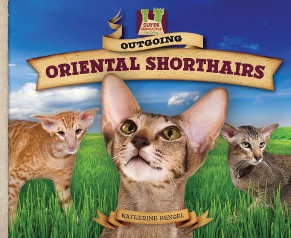 Outgoing Oriental Shorthairs eBook