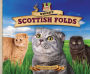 Sweet Scottish Folds eBook
