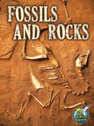 Title: Fossils and Rocks, Author: Hutmacher