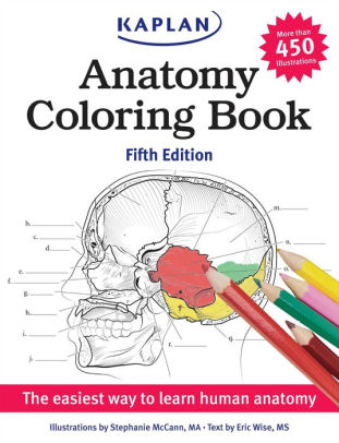 Anatomy Coloring Book by Stephanie McCann, Eric Wise |, Paperback