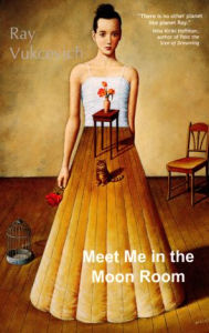 Title: Meet Me in the Moon Room: Stories, Author: Ray Vukcevich