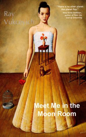 Meet Me in the Moon Room: Stories
