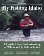 Fly Fishing Idaho: A Quick, Clear Understanding of Where to Fly Fish in Idaho