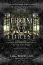 From the Forest: A Search for the Hidden Roots of Our Fairy Tales