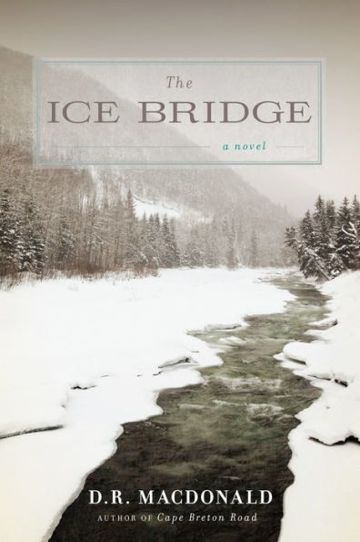 The Ice Bridge: A Novel