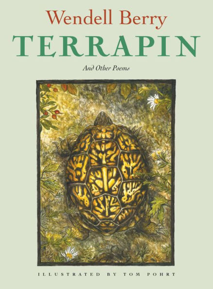 Terrapin: And Other Poems