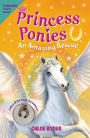 An Amazing Rescue (Princess Ponies Series #5)