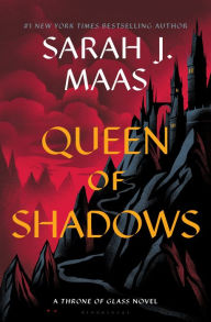 Download books google online Queen of Shadows 9781547604357 CHM