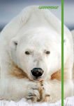 Alternative view 1 of Greenpeace Flexi Journal