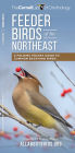 Feeder Birds of the Northeast
