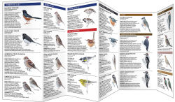 Alternative view 2 of Feeder Birds of the Northeast