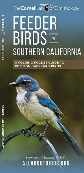 Feeder Birds Of Southern California A Folding Pocket Guide To Common Backyard Birds By The Cornell Lab Of Ornithology Other Format Barnes Noble,Three Way Switch Diagram