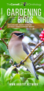 Title: Gardening for Birds: Enhancing Your Yard to Attract and Support Birds, Author: The  Cornell Lab of Ornithology