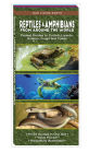 Reptiles & Amphibians From Around the World: Pocket Guides to Turtles, Lizards, Snakes, Frogs and Toads