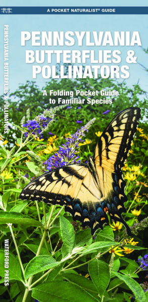 Pennsylvania Butterflies & Pollinators: A Folding Pocket Guide to Familiar Species