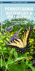Pennsylvania Butterflies & Pollinators: A Folding Pocket Guide to Familiar Species