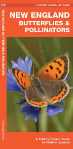 Title: New England Butterflies & Pollinators, Author: James Kavanagh Waterford Press