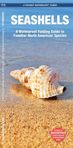 Title: Seashells, 2nd Ed, Author: Waterford Press